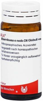 Wala-Heilmittel Bambusa E Noda D 6 Globuli (20 g)