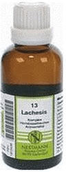 Nestmann Lachesis Komplex Nr. 13 Dilution (50 ml)