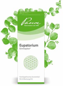 Pascoe Naturmedizin Eupatorium Similiaplex Tropfen (50 ml)