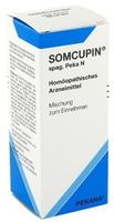 PZN-DE 03822228, PEKANA Naturheilmittel SOMCUPIN spag. Peka N Tropfen 50 ml,