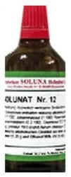 Soluna Heilmittel GmbH Solunat Nr.11 Tropfen (100 ml)