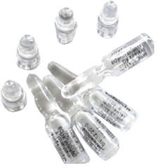 Weleda Cissus-ossa D 6 Ampullen (8 x 1 ml)