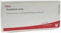 Bryophyllum Comp.ampullen 10X1 ml