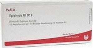 Wala-Heilmittel Epiphysis Gl D 12 Ampullen (10 x 1 ml)