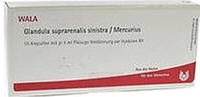 Wala-Heilmittel Glandula Supraren. Sinistra/ Mercurius Ampullen (10 x 1 ml)