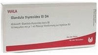 Glandula Thyreoidea GL D 4 Ampullen 10X1 ml