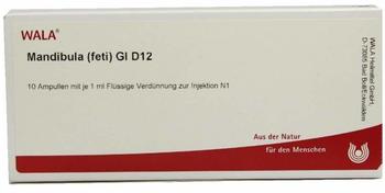 Wala-Heilmittel Mandibula Feti Gl D 12 Ampullen (10 x 1 ml)
