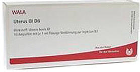 Wala-Heilmittel Uterus Gl D 6 Ampullen (10 x 1 ml)