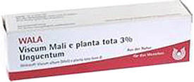 Wala-Heilmittel Viscum Mali E Planta Tota Salbe 3% (30 g)