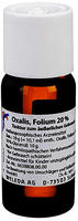 Oxalis Folium 20% &auml;u&szlig;erlich Tinktur 50 ml