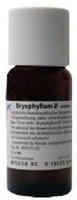 PZN-DE 01629065, Weleda Bryophyllum Urtinktur 50 ml, Grundpreis: &euro; 615,60...