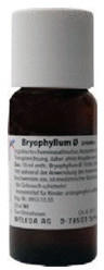 Weleda Bryophyllum Urtinktur (50 ml)