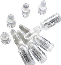 Weleda Bryophyllum D 5/ Conchae D 7 Ampullen (5 x 10 ml)