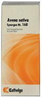 Synergon Komplex 168 Avena sativa Tropfe 20 ml