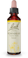 PZN-DE 00064537, Nelsons Bachbl&uuml;ten Hornbeam Tropfen 20 ml, Grundpreis: &euro; 457,-