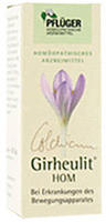 PZN-DE 05561074, Hom&ouml;opathisches Laboratorium Alexander Pfl&uuml;ger Gmb Girheulit...