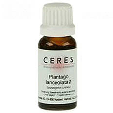 Alcea Ceres Plantago Lanceolata Urtinktur (20 ml)