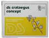 PZN-DE 00588743, DS-Pharmagit DS Crataegus Concept Tabletten 100 St
