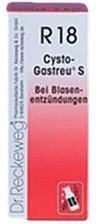 Dr. Reckeweg Cysto Gastreu S R 18 Tropfen (22 ml)