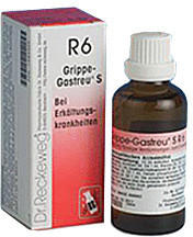 Dr. Reckeweg Grippe Gastreu S R 6 Tropfen (22 ml)