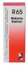 Dr. Reckeweg Mahonia Gastreu R 65 Tropfen (50 ml)
