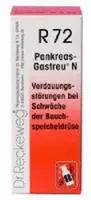 Dr. Reckeweg Pankreas-Gastreu N R72 50 ml