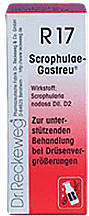 Dr. Reckeweg Scrophulae Gastreu R 17 Tropfen (22 ml)