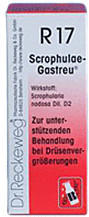 Dr. Reckeweg Scrophulae Gastreu R 17 Tropfen (50 ml)