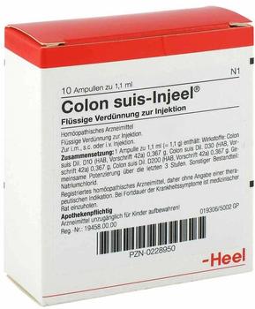 Heel Colon Suis Injeele (10 x 1,1 ml)