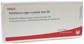 Wala-Heilmittel Helleborus Niger E Planta Tota D 6 Ampullen (10 x 1 ml)