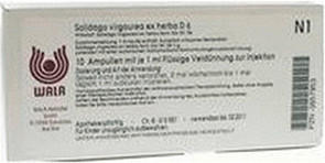 Wala-Heilmittel Solidago Virgaurea Ex Herba D 6 Ampullen (10 x 1 ml)