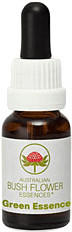 Leitner Lifecare Bush Flower austral. Nr.23 Green Essence Tropfen (15 ml)