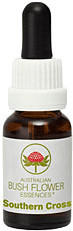 Leitner Lifecare Bush Flower austral. Nr.54 Southern Cross Tropfen (15 ml)