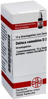 Datisca Cannabina D 2 Globuli 10 g