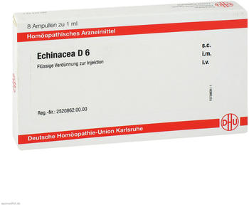 DHU Echinacea D 6 Ampullen (8x1ml)