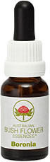 Leitner Lifecare Bush Flower austral. Nr.9 Boronia Tropfen (15 ml)