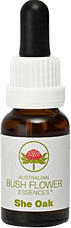 Leitner Lifecare Bush Flower austral. Nr. 50 She Oak Tropfen (15 ml)