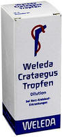 Crataegus Tropfen 50 ml