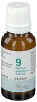 Biochemie Pfl&uuml;ger Sch&uuml;&szlig;ler-Salz Nr. 9 Natrium phosp. D6 15 g