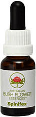 Leitner Lifecare Bush Flower austral. Nr. 55 Spinifex Tropfen (15 ml)