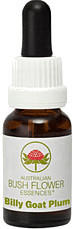 Leitner Lifecare Bush Flower austral. Nr.6 Billy Goat Plum Tropfen (15 ml)