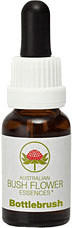 Leitner Lifecare Bottlebrush Austr.Bushblüte Tropfen 15 ml