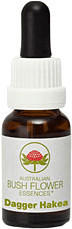 Leitner Lifecare Bush Flower austral. Nr.16 Dagger Haken Tropfen (15 ml)