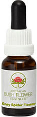 Leitner Lifecare Bush Flower austral. Nr.25 Grey Spider Flower Tropfen (15 ml)