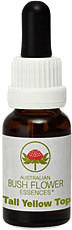 Leitner Lifecare Bush Flower austral. Nr.61 Tall Yellow Top Tropfen (15 ml)