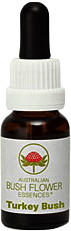 Leitner Lifecare Bush Flower austral. Nr.62 Turkey Bush Tropfen (15 ml)