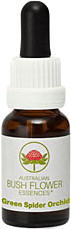 Leitner Lifecare Bush Flower austral. Nr.24 Green Spider Orchid Tropfen (15 ml)