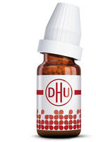 Damiana D 6 Globuli 10 g