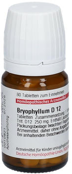 DHU Bryophyllum Tabletten D12 (80Stk.)