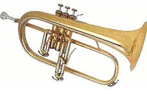 B&S Challenger 3145G-L